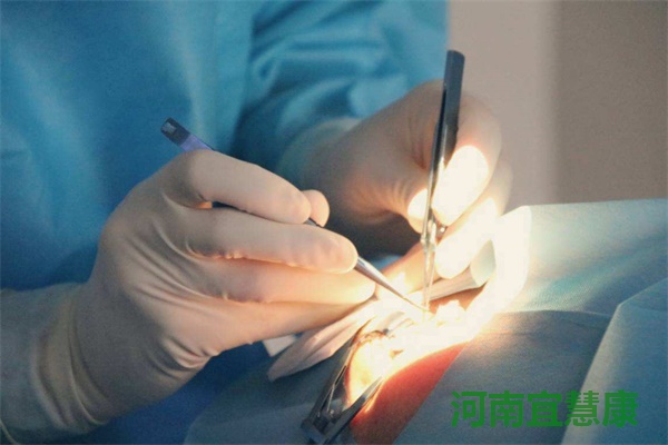 蜜桃成品人视频入口