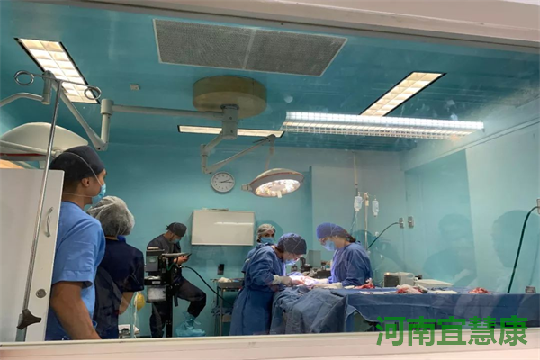 实验兔解剖器械