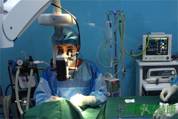 蜜桃成品人视频入口