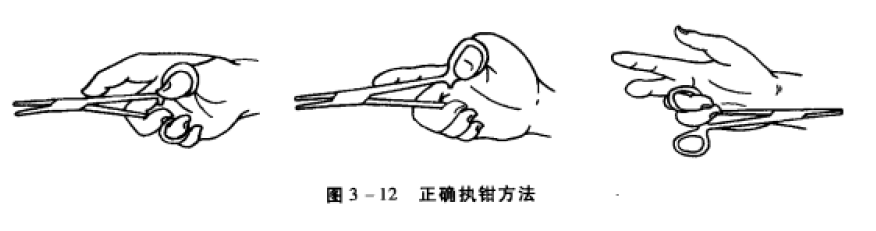 图3-12 正确执钳方法 蜜桃成品人视频入口