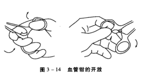 图3-14 血管钳的开放 蜜桃成品人视频入口