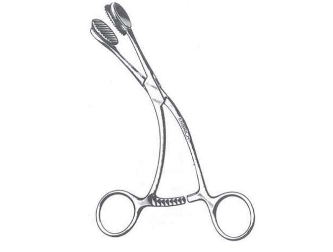 小动物舌钳 蜜桃成品人视频入口