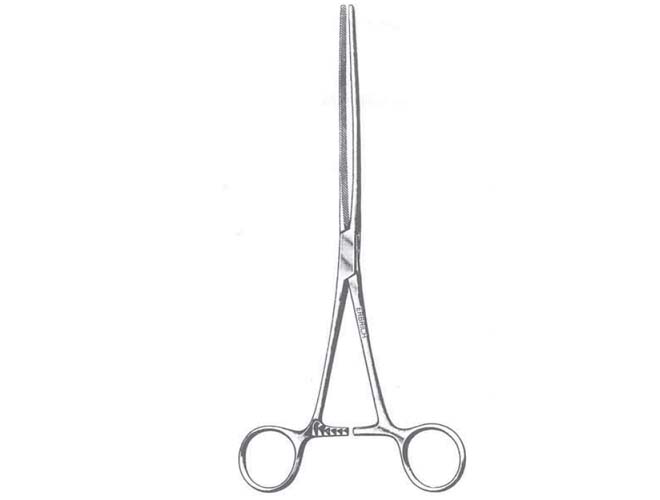 小动物肠钳 蜜桃成品人视频入口