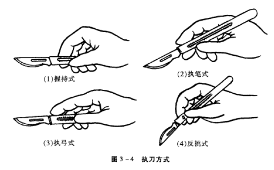 执刀方式 蜜桃成品人视频入口