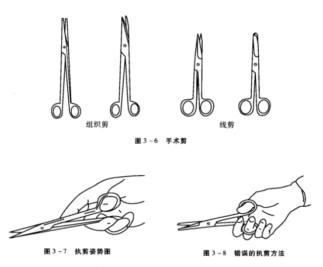 小动物手术剪,执剪姿势图,错误的执剪方法 蜜桃成品人视频入口