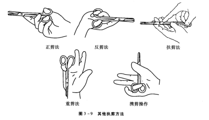 其他执剪方法 蜜桃成品人视频入口