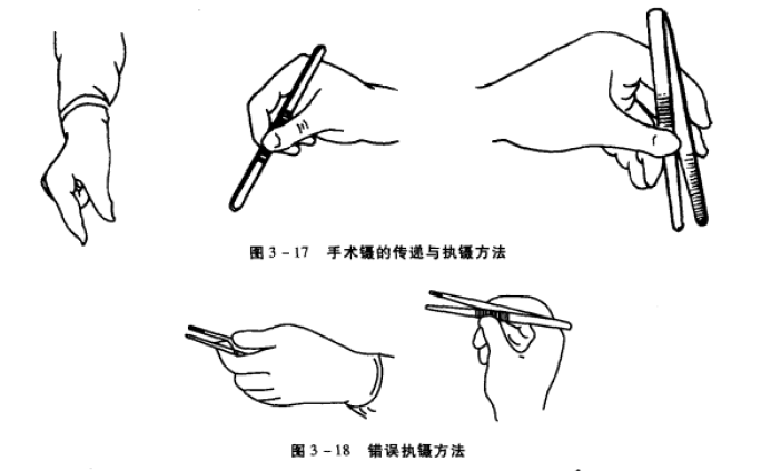 小动物持针钳的传递 蜜桃成品人视频入口