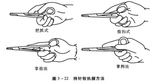 小动物持针钳的执握方式 蜜桃成品人视频入口