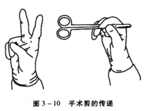 小动物手术剪的传递 蜜桃成品人视频入口