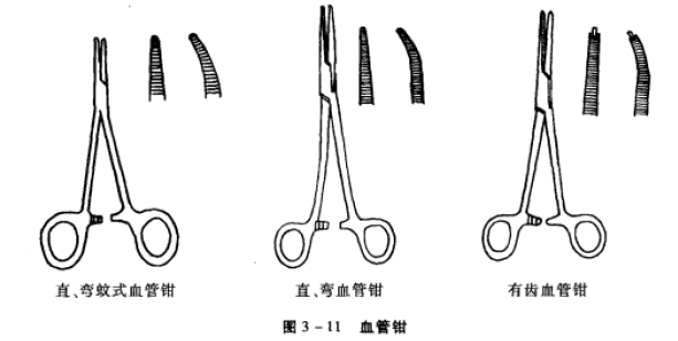 小动物血管钳 蜜桃成品人视频入口