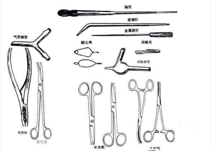 蜜桃成品人视频入口