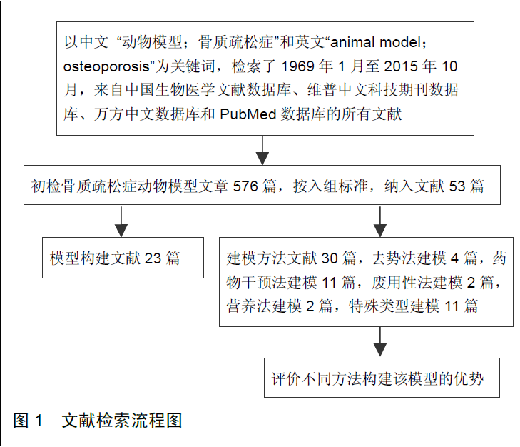蜜桃成品人视频入口