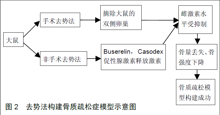 蜜桃成品人视频入口