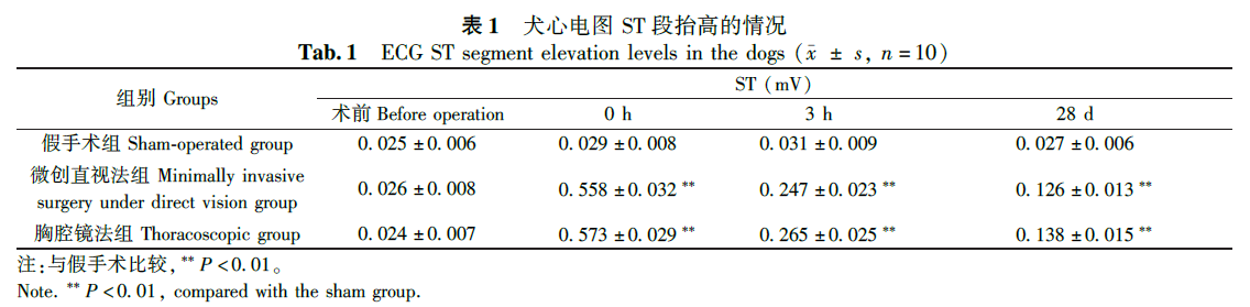 蜜桃成品人视频入口