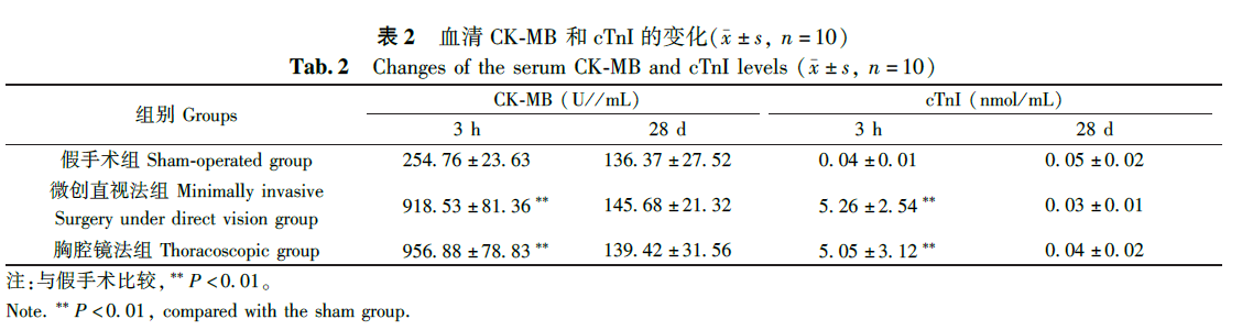 蜜桃成品人视频入口