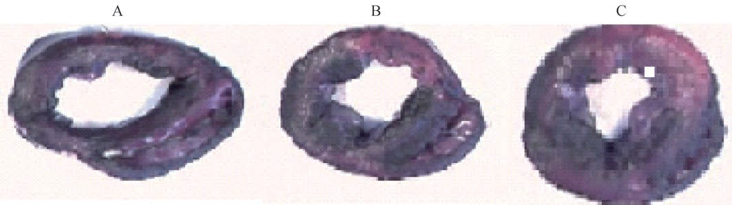 蜜桃成品人视频入口