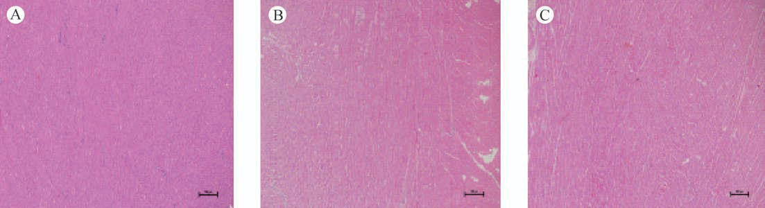 蜜桃成品人视频入口