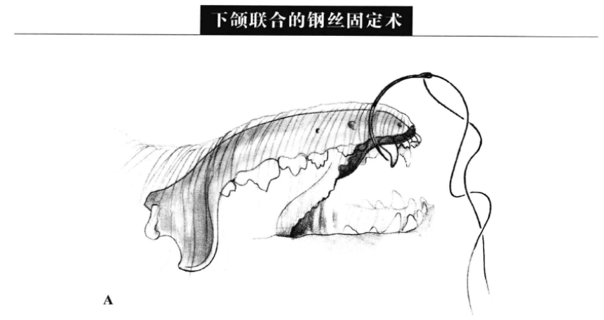 蜜桃成品人视频入口