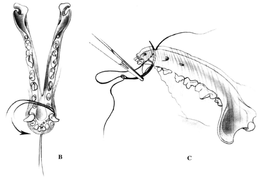 蜜桃成品人视频入口