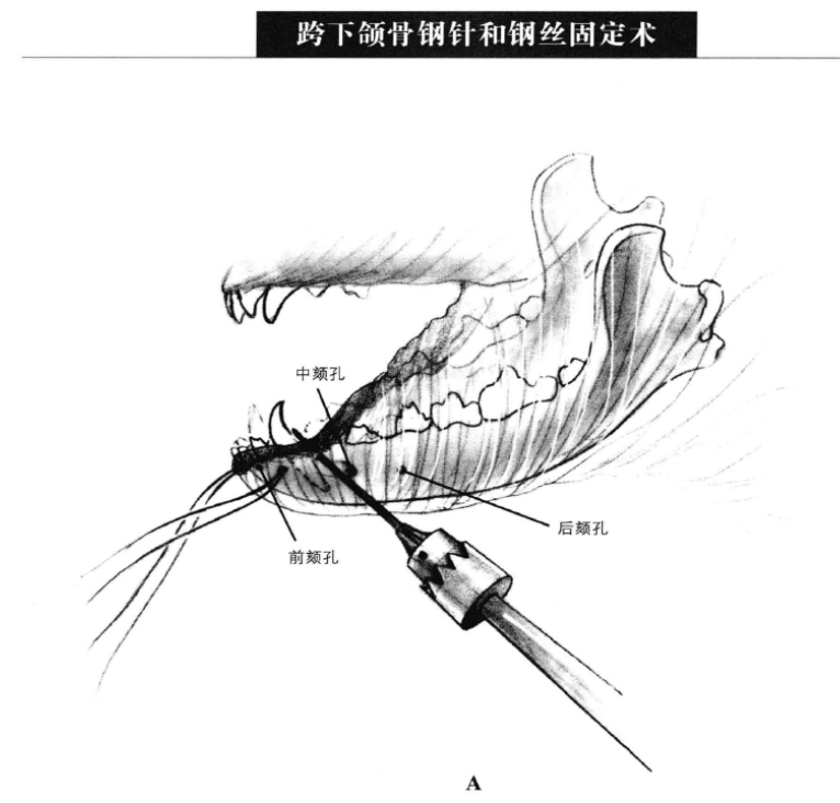 蜜桃成品人视频入口