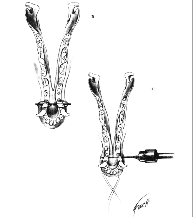 蜜桃成品人视频入口