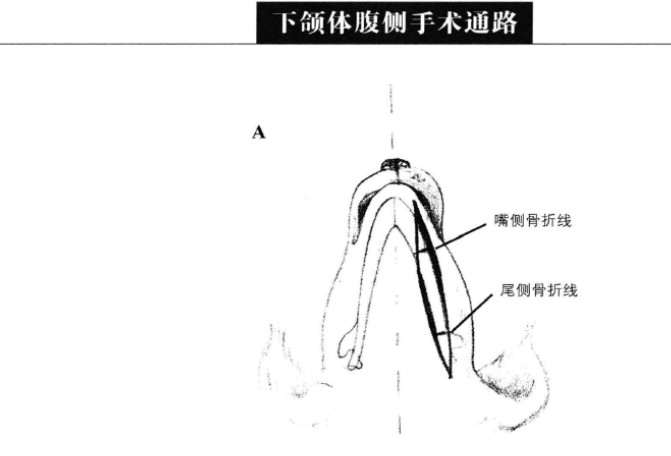 蜜桃成品人视频入口