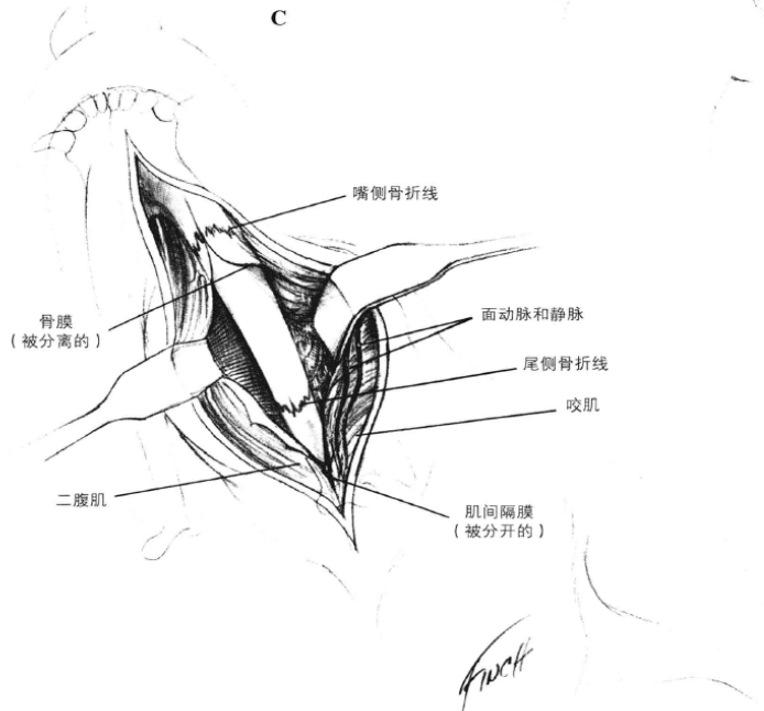 蜜桃成品人视频入口
