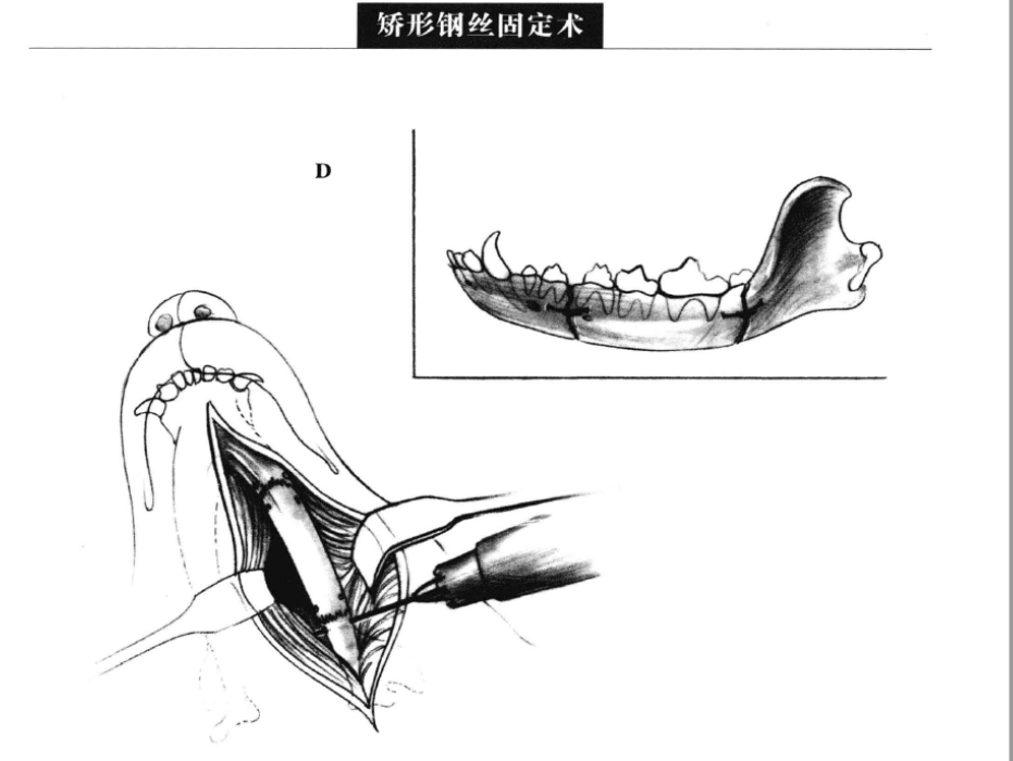 蜜桃成品人视频入口
