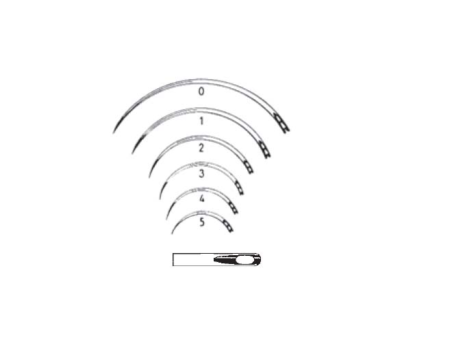 蜜桃成品人视频入口