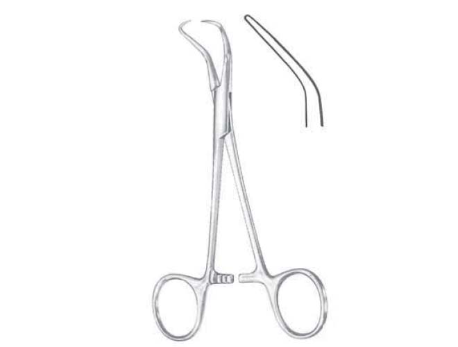 小动物创巾钳 蜜桃成品人视频入口