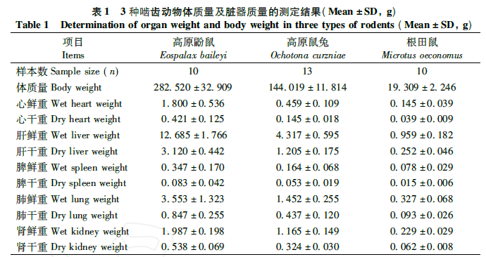 蜜桃成品人视频入口
