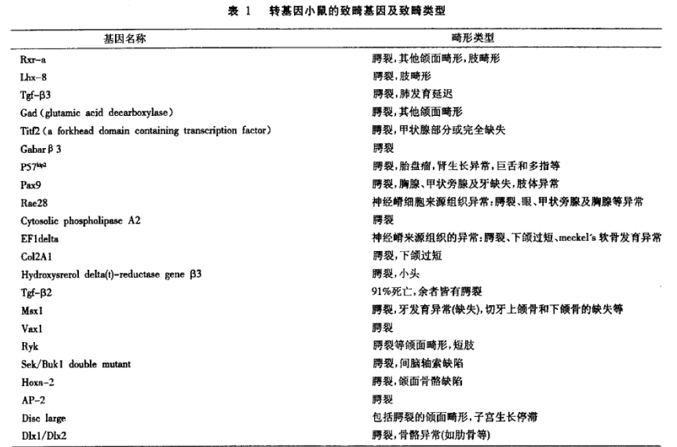 蜜桃成品人视频入口