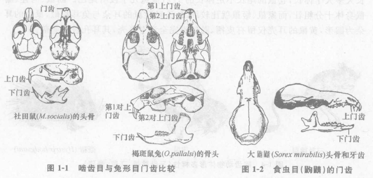 蜜桃成品人视频入口