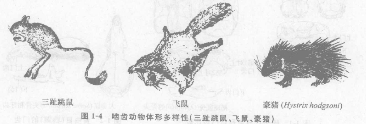 蜜桃成品人视频入口