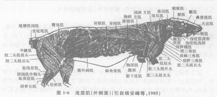 蜜桃成品人视频入口