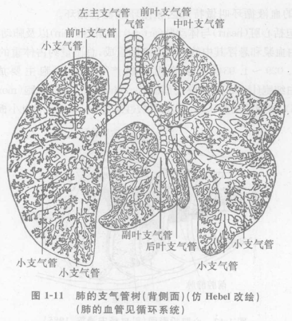 蜜桃成品人视频入口