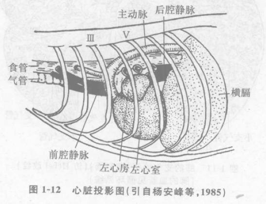 蜜桃成品人视频入口