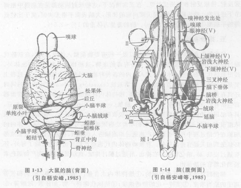 蜜桃成品人视频入口