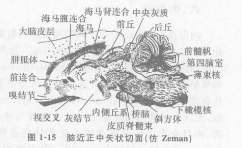 蜜桃成品人视频入口