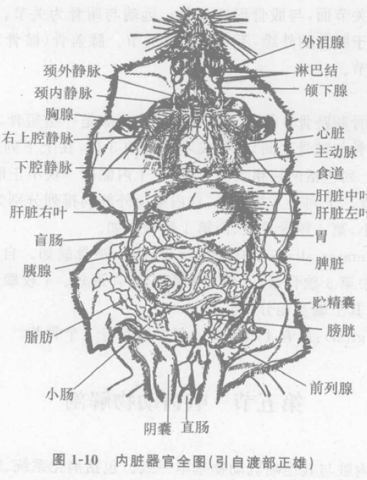 蜜桃成品人视频入口
