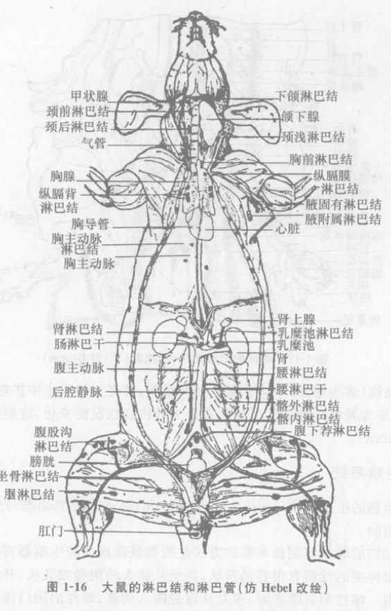 蜜桃成品人视频入口