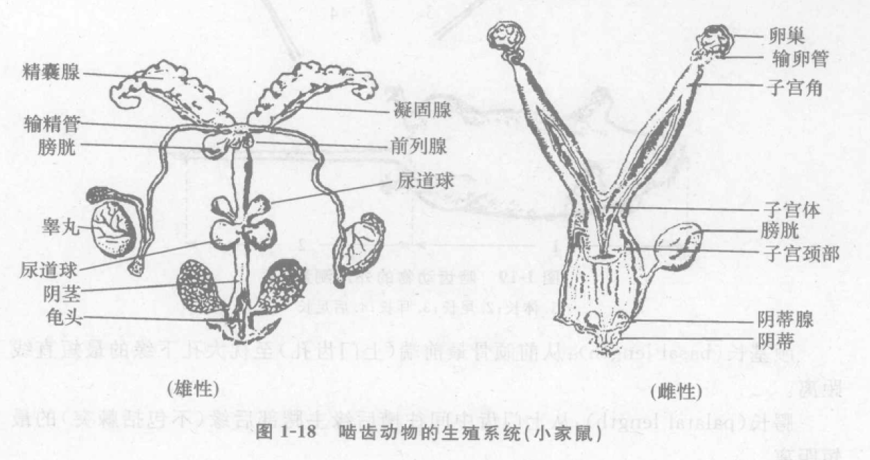 蜜桃成品人视频入口