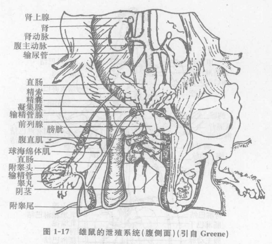 蜜桃成品人视频入口
