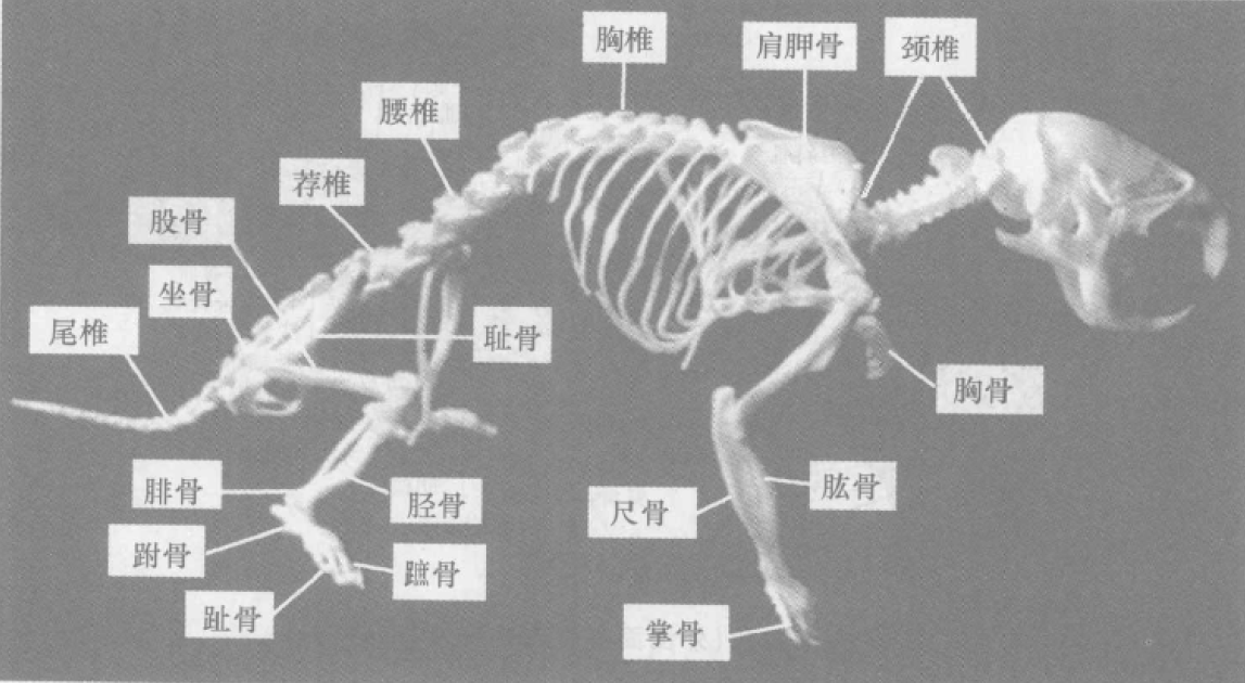 蜜桃成品人视频入口