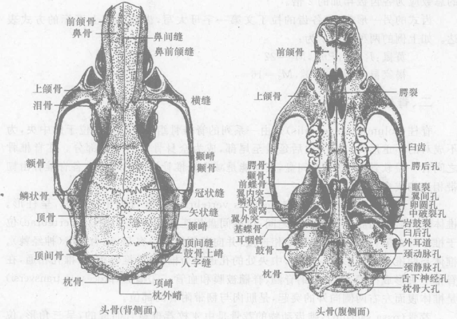 蜜桃成品人视频入口