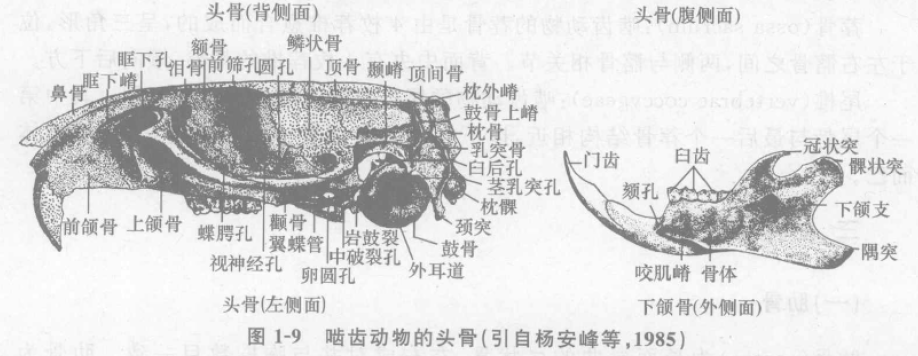 蜜桃成品人视频入口