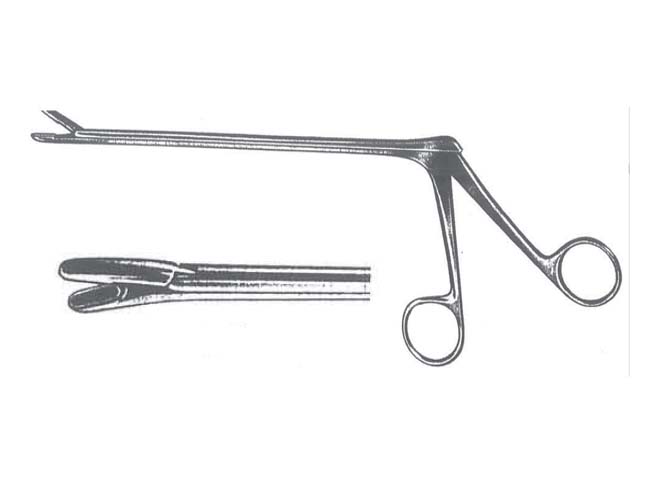 蜜桃成品人视频入口