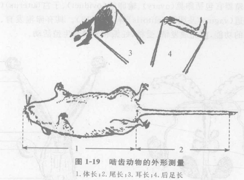 蜜桃成品人视频入口