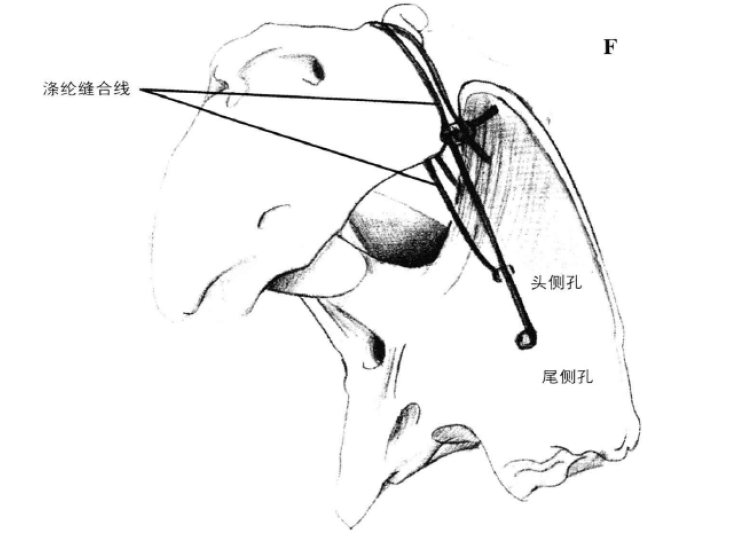 蜜桃成品人视频入口