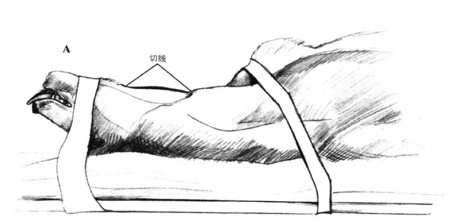 蜜桃成品人视频入口